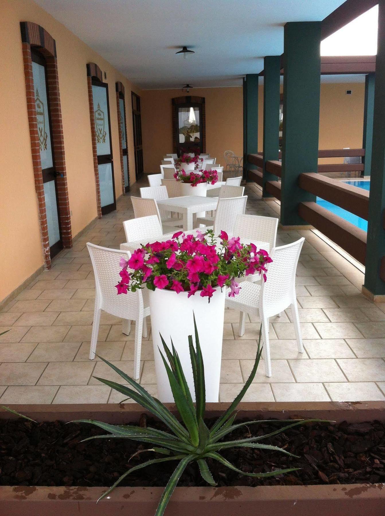 B&B Villa Calendano Corato Exteriér fotografie